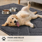 PURRUGS Area Rug - Image 3