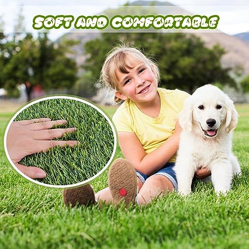 CooZero Artificial Grass, Professional Dog Grass Mat, Potty Training Rug and - Image 3
