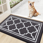 Buganda Indoor Door Mat, Dirt-Resistant and Absorbent Doormat, Low Profile by Buganda