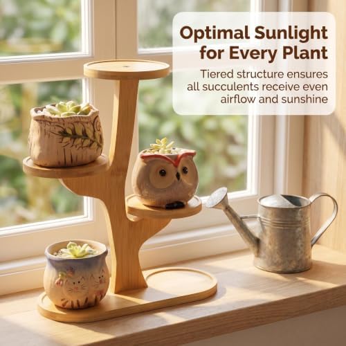 4 Tier Tabletop Plant Stand Indoor | Small Plant Stand - Image 4