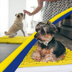 Muddy Mat® | Super Water Absorbent Door Mat Indoor, Microfiber Quick Dry - Image 5