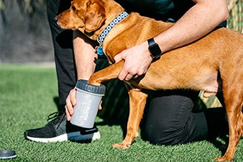 Dexas Lidded MudBuster Large Dog Paw Cleaner, Light Gray, Fits 2.5"-3.5" Wide - Image 5