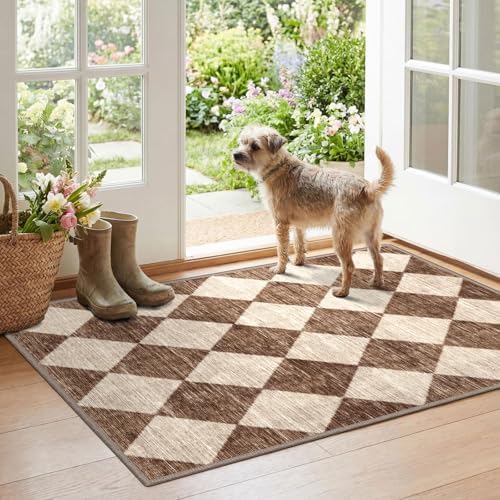 Checkered Entryway Rug by Othilic