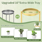 LASZOLA Plant Stand Indoor - Image 3