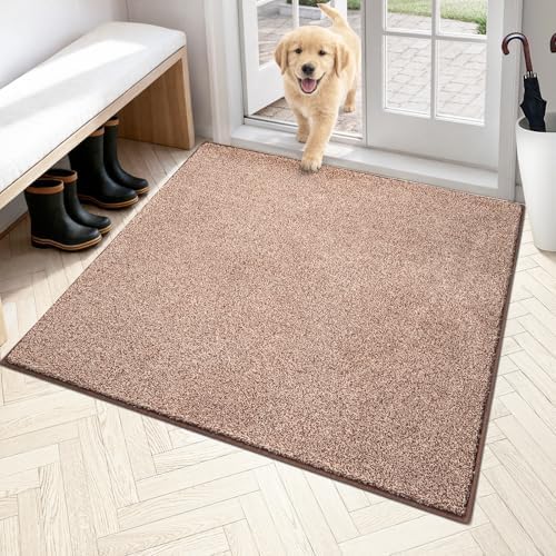 PURRUGS Area Rug by PURRUGS