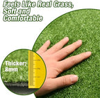 GLOBREEN Replacement Fake Grass Pee Pads - Image 3
