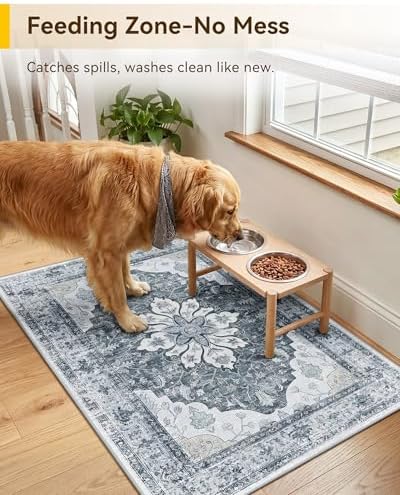 RELEANY Washable Area Rug, Small 2'x3' - Image 4