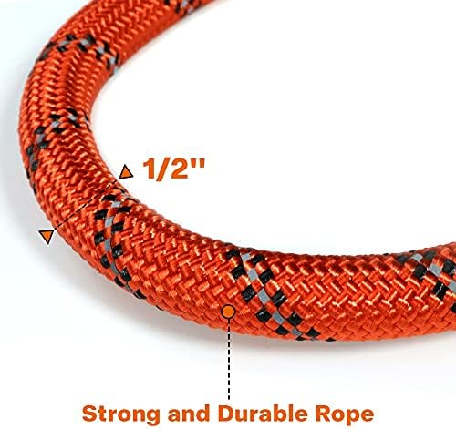 Taglory Rope Dog Leash for Medium Large Dogs, 4 FT Padded Handle - Image 3