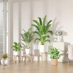 5-Pack Wood Plant Stands Indoor, Single Plant Stand - Image 3