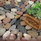 Pebble Tile, Natural Stone Paver Tile, Mountain Grey 4 Sheets - Image 7
