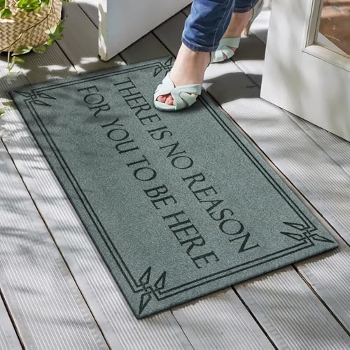 Front Door Mat Funny Welcome Mats Brown There is No Reason - Image 2