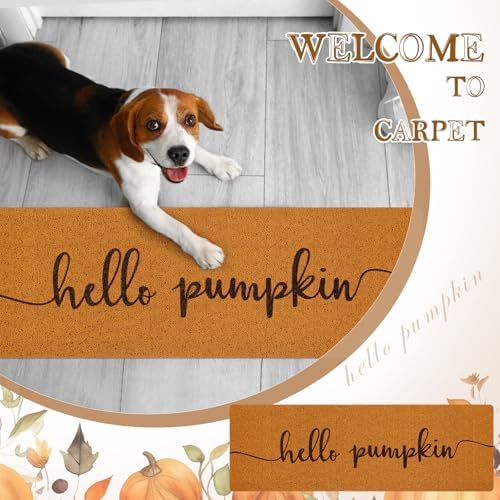 Fall 48''x16'' Long Doormat for Entrance Entry, Hello Pumpkin - Image 5