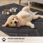 PURRUGS Area Rug - Image 3