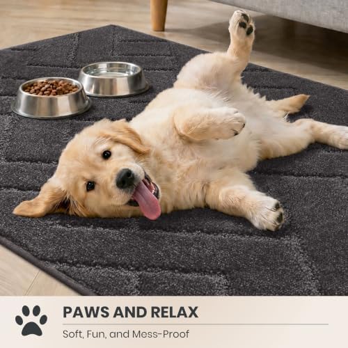 PURRUGS Area Rug - Image 3