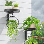 iDavosic.ly Plant Wall Hanger Set of 2 by iDavosicly