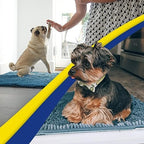 Muddy Mat® | Super Water Absorbent Door Mat Indoor, Microfiber Quick Dry - Image 6