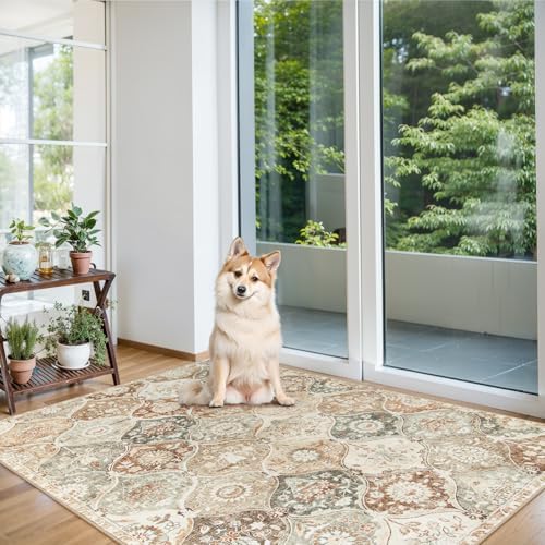 Lahome Moroccan Washable Small Rug, 3x5 Black Rugs - Image 5