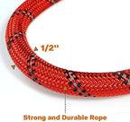 Taglory Rope Dog Leash for Medium Large Dogs, 4 FT Padded Handle - Image 3