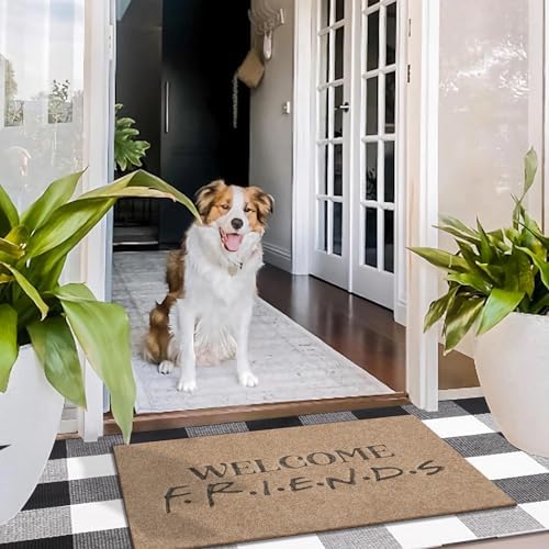 Funny Friends Welcome Mats Front Doormats Inside Outside Entryway Mat - Image 4