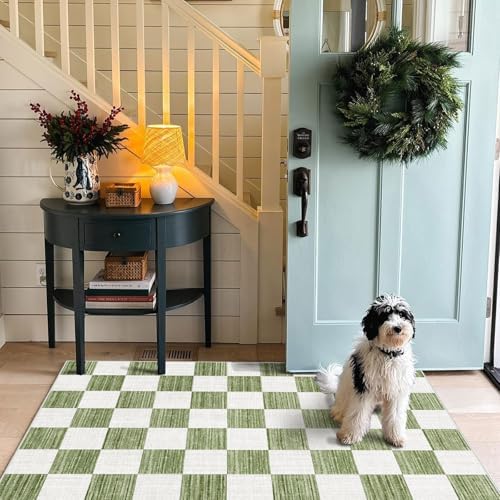 Green White Checkered Entry Rug - Image 7