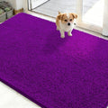 OLANLY Dog Door Mat for Muddy Paws 48x30, Super Absorbent Chenille Mud Mat by OLANLY