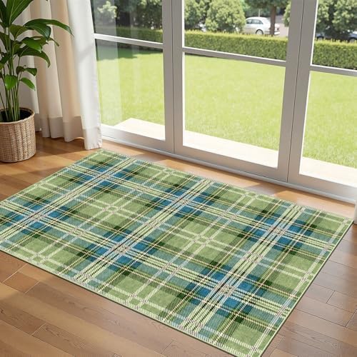 3x5 Buffalo Entry Rug by Othilic