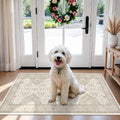HY HAOYUNLAI 2x4 Washable Entryway Area Rug Soft Non-Slip Slim Kitchen Mat by HYHAOYUNLAI
