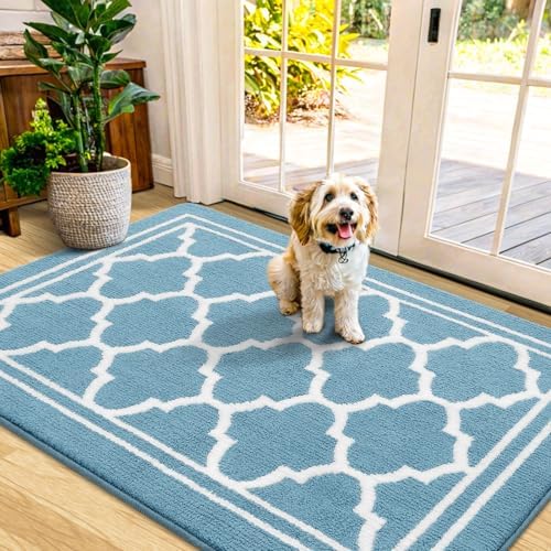 Buganda Indoor Door Mat, Dirt Resistant Doormat, Lake Blue by Buganda