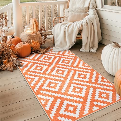 GENIMO Fall Decor Outdoor Rug 3'x5' - Image 5