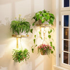 iDavosic.ly Plant Wall Hanger by iDavosicly