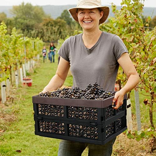 Kekow 15 L Black Plastic Collapsible Storage Basket, Folding Crates Storage - Image 7