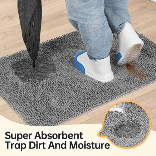 Absorbent Dog Door Mat for Muddy Paws, Trap Dirt Front Door Mat Indoor Entrance - Image 2