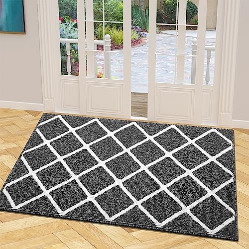 Finchitty Indoor Door Mat, Dirt Resistant Doormat by Finchitty