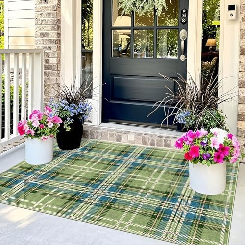 3x5 Buffalo Entry Rug - Image 3