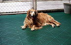 Dri-Dek® Dog & Cat Kennel Cage Liner, Veterinarian or Groomer Flooring - Image 3