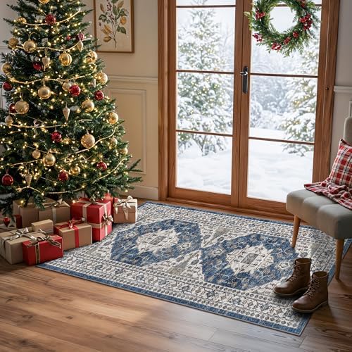 2x4 Non-Slip Entryway Area Rugs: Washable Stain Resistant Kitchen Carpet by HYHAOYUNLAI
