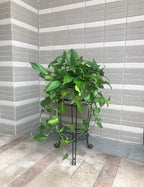TREEZITEK 11.8 inches Diameter Tall Metal Plant Stand - Image 6