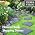TierraVerde Rubber Stepping Stones, Natural Rock Look - Image 7